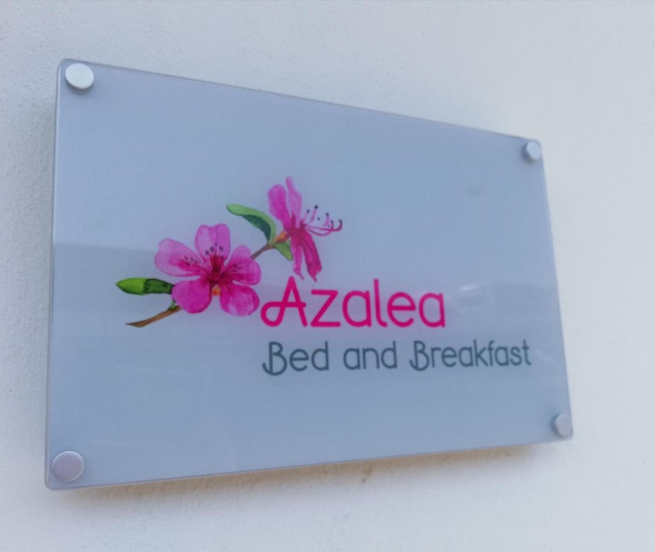 נאפולי Azalea B&B מראה חיצוני תמונה
