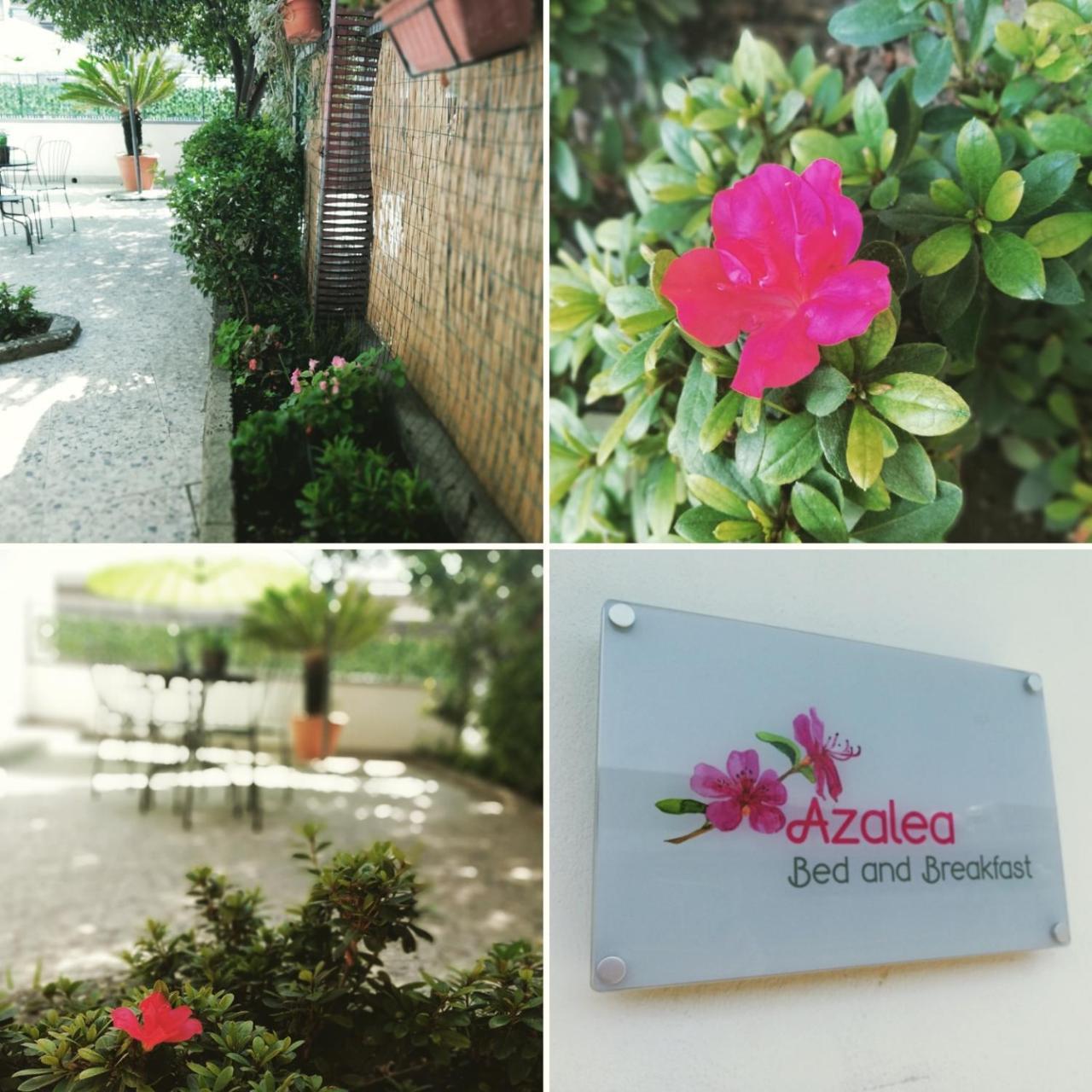 נאפולי Azalea B&B מראה חיצוני תמונה