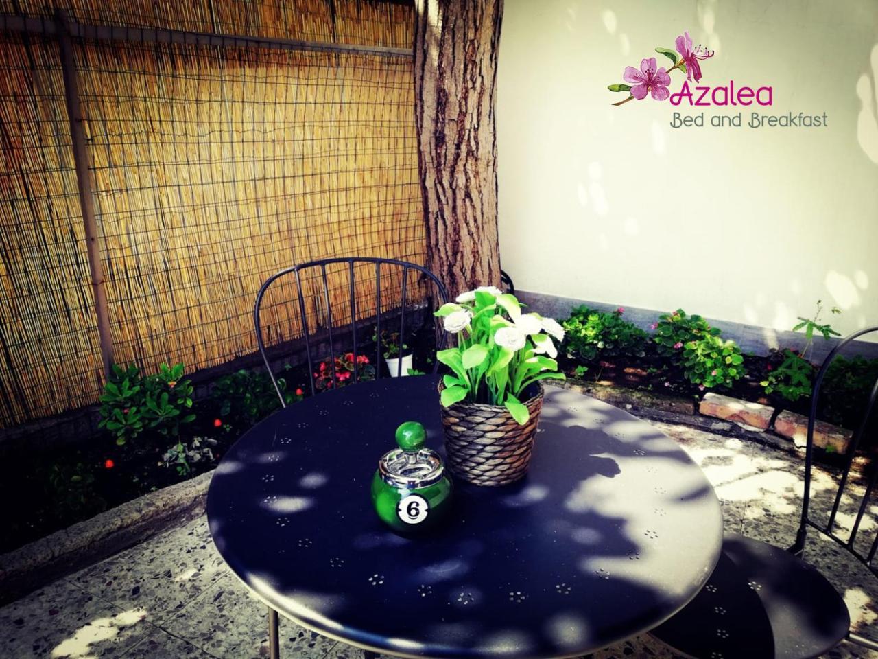 נאפולי Azalea B&B מראה חיצוני תמונה