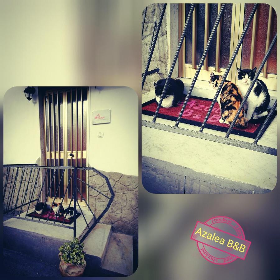 נאפולי Azalea B&B מראה חיצוני תמונה